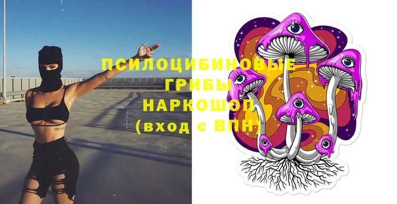 Галлюциногенные грибы Magic Shrooms Гулькевичи